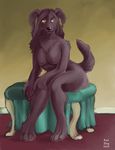  black canine dog mavvie nude red_dog sitting solo yellow_eyes 