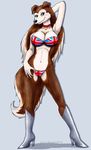 blue_eyes breasts british_flag camel_toe canine clothed clothing collar colleen dog female looking_at_viewer mammal road_rovers skimpy solo standing swimsuit uk_flag vani-fox 