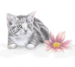  bilkaya cat cute feline flower green_eyes mammal safe solo 