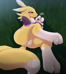  anthro canine chipar digimon dripping female fox gloves grass looking_at_viewer lying mammal markings on_back outside pussy pussy_juice renamon saliva solo tears 