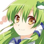  closed_mouth face frog green_hair hair_ornament hair_tubes kochiya_sanae long_hair looking_at_viewer portrait sakuraba_hinano smile solo touhou yellow_eyes 