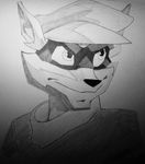  greyscale mammal monochrome raccoon sly_cooper sly_cooper_(series) unknown_artist video_games 