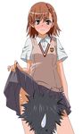  1girl black_hair blush brown_eyes brown_hair hair_ornament hairpin kamijou_touma min_(westsign2170) misaka_mikoto school_uniform skirt skirt_lift spiked_hair to_aru_kagaku_no_railgun to_aru_majutsu_no_index uniform wavy_mouth 