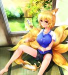  animal_ears bad_id bad_pixiv_id barefoot bird blonde_hair breasts brush casual cat contemporary fox_ears fox_tail indoors large_breasts no_hat no_headwear pnoji smile solo sparrow tail tail_brushing touhou window yakumo_ran yellow_eyes 