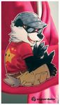  eyewear hat male mammal panda solo sunglasses super-tuler tail tairu 