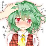  ascot blush efe_(style) face green_hair hand_on_another's_head kazami_yuuka matsushita_yuu open_mouth out_of_frame parody petting plaid plaid_vest pov pov_hands red_eyes shirt short_hair solo_focus style_parody touhou translated vest 