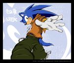  blue blue_body blue_hair chain clothed clothing collaboration dadoux hair hedgehog male mammal nocturnalmoth pants plain_background sega shirt solo sonic_(series) sonic_the_hedgehog tail white_background 