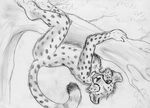  cheetah feline hanging male mammal nude sketch solo spera tree upside_down wood 