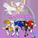  black black_fur blue blue_eyes boots breasts canine cleavage clothed clothing cosplay crossgender female fox fur gloves green_eyes group hair half-closed_eyes hedgehog knuckles_the_echidna mammal miles_prower multiple_tails purple_background purple_eyes red red_eyes red_hair rouge_the_bat sega shadow_the_hedgehog sonic_(series) sonic_the_hedgehog tail tailsko y-mangaka 