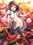  autumn black_hair black_legwear breasts covered_nipples crossed_legs fan geta hat in_tree kimitoshiin kneehighs leaf looking_at_viewer maple_leaf md5_mismatch medium_breasts open_mouth orange_eyes red_eyes shameimaru_aya short_hair sitting sitting_in_tree smile solo tengu-geta tokin_hat touhou tree 