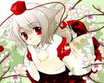  animal_ears artist_request flower hat inubashiri_momiji red_eyes silver_hair solo tail tokin_hat touhou wolf_ears wolf_tail 