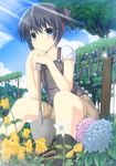  absurdres bad_id bad_pixiv_id black_eyes black_hair cloud day flower garden hair_bun hair_ribbon highres hydrangea light_rays looking_at_viewer mizunashi_kenichi original ribbon shorts shovel sitting sky smile socks soil solo sunbeam sunlight tree 