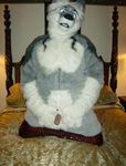  canine fursuit male penis tagme 