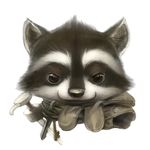  cute mammal raccoon silverfox5213 solo 