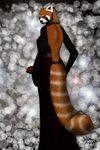  abstract_background anthro dress evening female flower foxia glamour invalid_tag looking_back mammal nightmare_fuel no_yiff red_panda rose solo soul_devouring_eyes 