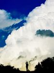  bush cloud highres male_focus original sack scenery shimei_jien silhouette sky sleeves_rolled_up solo 