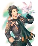  alvin_(tales) bird bird_on_hand black_gloves brown_eyes brown_hair coat cravat dove gloves hand_in_pocket highres jarako_(gaillardia) male_focus smile solo tales_of_(series) tales_of_xillia 