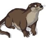  candyfoxy feral mammal mustelid otter solo 