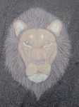 face feline feral lion looking_at_viewer male mammal pavement photo real sarvix solo soul_devouring_eyes yellow_eyes 