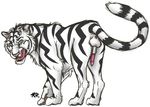 feline feral male mammal penis sketchkat solo tiger 