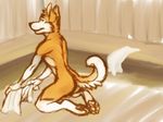  balls butt canine dog fur gay husky klaude male mammal orange orange_fur paws sauna solo tail towel 