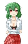  bra breast_hold breasts cleavage green_hair kazami_yuuka lingerie medium_breasts open_clothes open_shirt plaid plaid_skirt red_eyes red_skirt shirt short_hair simple_background skirt smile solo touhou tsukimi_(ryouiki_ridatsu) unbuttoned underwear 