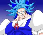  blue_hair broly cirno dragon_ball dragon_ball_z lowres muscle parody smile solo touhou 