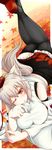  animal_ears black_legwear breasts hat highres inubashiri_momiji jyun large_breasts lying red_eyes solo tail thighhighs tokin_hat touhou white_hair wolf_ears wolf_tail zettai_ryouiki 