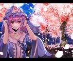  bad_id bad_pixiv_id blush bug butterfly cherry_blossoms dress hat insect letterboxed petals pink_eyes pink_hair saigyouji_yuyuko short_hair smile solo sparkle touhou triangular_headpiece velia 