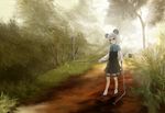  akai_kitsune animal_ears bad_id bad_pixiv_id basket brown_dress capelet dowsing_rod dress fog forest grey_eyes highres jewelry mouse mouse_ears mouse_tail nature nazrin necklace pendant red_eyes solo tail touhou 