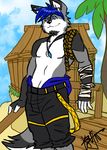  blue_eyes blue_hair canine destiny_island hair kingdom_hearts male mammal necklace original_character seaside solo tail topless wolf 