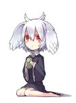  :&lt; albino bad_id bad_pixiv_id barefoot blush_stickers cup en@rain full_body head_wings original red_eyes shuni_(en@rain) simple_background sitting solo wariza white_hair 