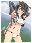  animal_ears armpits arms_behind_head arms_up black_hair blush bra breasts brown_eyes cameltoe elbow_gloves gloves hi-ho- kuroe_ayaka large_breasts lingerie looking_at_viewer mouth_hold navel nipple_slip nipples panties short_hair solo tail underwear undressing world_witches_series 