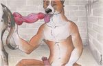  anthro_on_feral bestiality canine dog fellatio feral gay interspecies male mammal oral oral_sex penis sax sex 