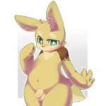  anthro balls blonde_fur canine chubby cub erection fur green_eyes male mammal mumu nude overweight penis pose solo standing uncut wide_hips yellow_fur young 