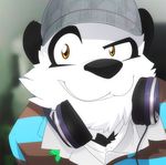  black_nose hat headphones male mammal panda solo super-tuler tairu teenager 
