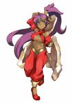  adovo anklet arabian_clothes armlet baggy_pants blue_eyes breasts criss-cross_halter dark_skin full_body halter_top halterneck harem_pants high_ponytail jewelry long_hair medium_breasts midriff navel pants pointy_ears pointy_shoes ponytail purple_hair shantae_(character) shantae_(series) shoes sideboob smile solo tiara very_long_hair 