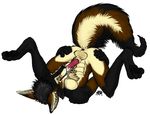  anus autofellatio balls canine cum cum_in_mouth cum_inside fox lying male mammal masturbation nude on_back oral penis sketchkat solo spread_legs spreading thunderboltfox 