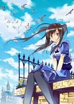  :o absurdres bird black_hair black_legwear blush cloud dandelion day dress face fence flower highres long_hair matsui_hiroaki original pink_eyes sitting sky solo thighhighs twintails v_arms wind 