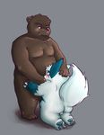  bear chubby fellatio gay kneeling male mammal nintendo oral oral_sex overweight penis pok&#233;mon sex shiny_pok&#233;mon video_games zangoose zangusuu 