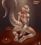  anus balls candle chokodonkey claws corn_snake derrick erection forked_tongue hextra looking_back male markings nude penis pinup scalie snake solo stripes toes tongue tongue_out 