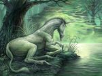  equine feral grass hooves horn leaves lying male mammal outside solo tail tree unicorn water wood 