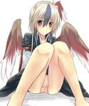  bad_id bad_pixiv_id bare_legs belt bird_wings black_dress blue_hair blush brown_eyes collarbone dress head_wings horns long_sleeves multicolored_hair panties pink_panties roten_(rotenburo) short_hair silver_hair single_head_wing sitting smile solo tokiko_(touhou) touhou two-tone_hair underwear wings yellow_eyes 