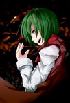  antennae bad_id bad_pixiv_id cape flimflam green_eyes green_hair highres solo touhou wriggle_nightbug 