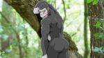  anthro ape biceps big_muscles butt fabfelipe fur gorilla jungle looking_at_viewer male mammal muscles nude pose primate solo 