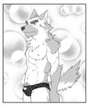  dog greyscale looking_at_viewer male mammal monochrome muscles ryuta-h solo speedo swimsuit underwear 