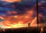  1girl bicycle bird cloud cloudy_sky couple field grass ground_vehicle hetero kazeno kiss original power_lines red_sky silhouette sky sunset telephone_pole wind 