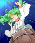  bucket green_eyes green_hair hair_bobbles hair_ornament in_bucket in_container kanoe_soushi kisume one_eye_closed open_mouth smile solo touhou twintails 