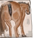  anatomically_correct_pussy animal_genitalia anus butt equine equine_pussy female feral gdane horse mammal pony puffy_anus pussy solo 