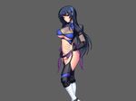  blue_hair breasts cleavage kunoichi kunoichi_sanshimai_ichi_no_maki_-_inbou_sanshimai_genzan! large_breasts ninja u-me_soft 